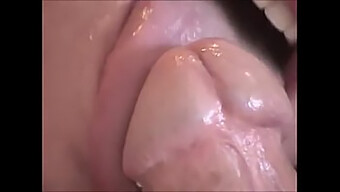 Intimate Blowjob With A Big Cock